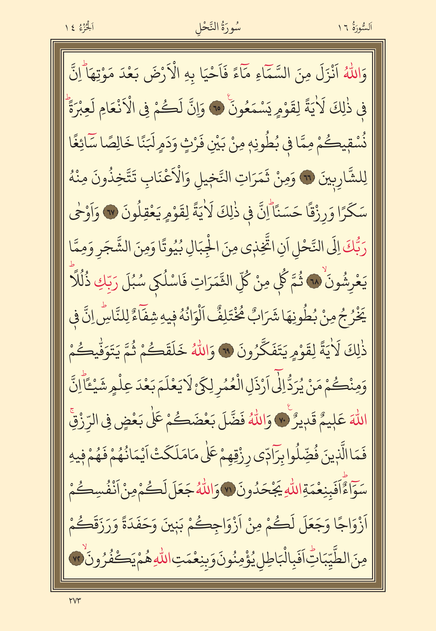 Kuran Oku 14. Cüz 273. Sayfa - KELAMULLAH