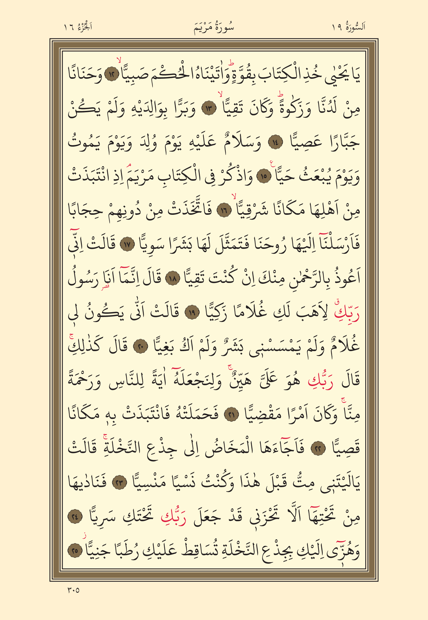 Kuran Oku 16. Cüz 305. Sayfa - KELAMULLAH