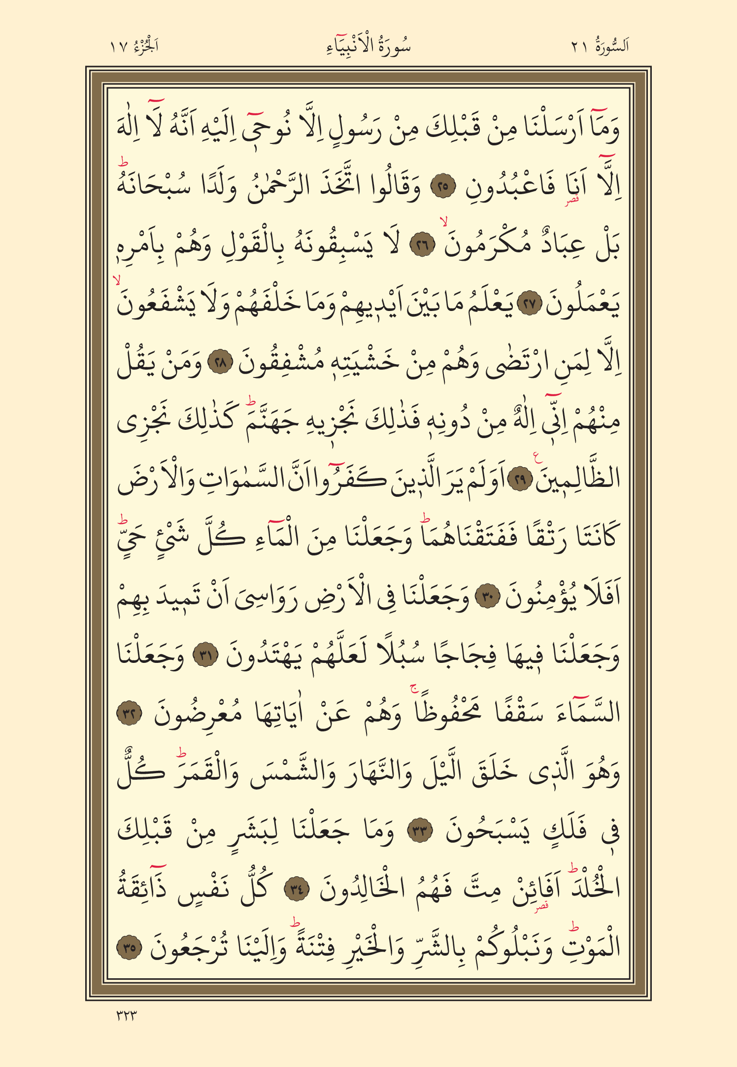 Kuran Oku 17. Cüz 323. Sayfa - KELAMULLAH