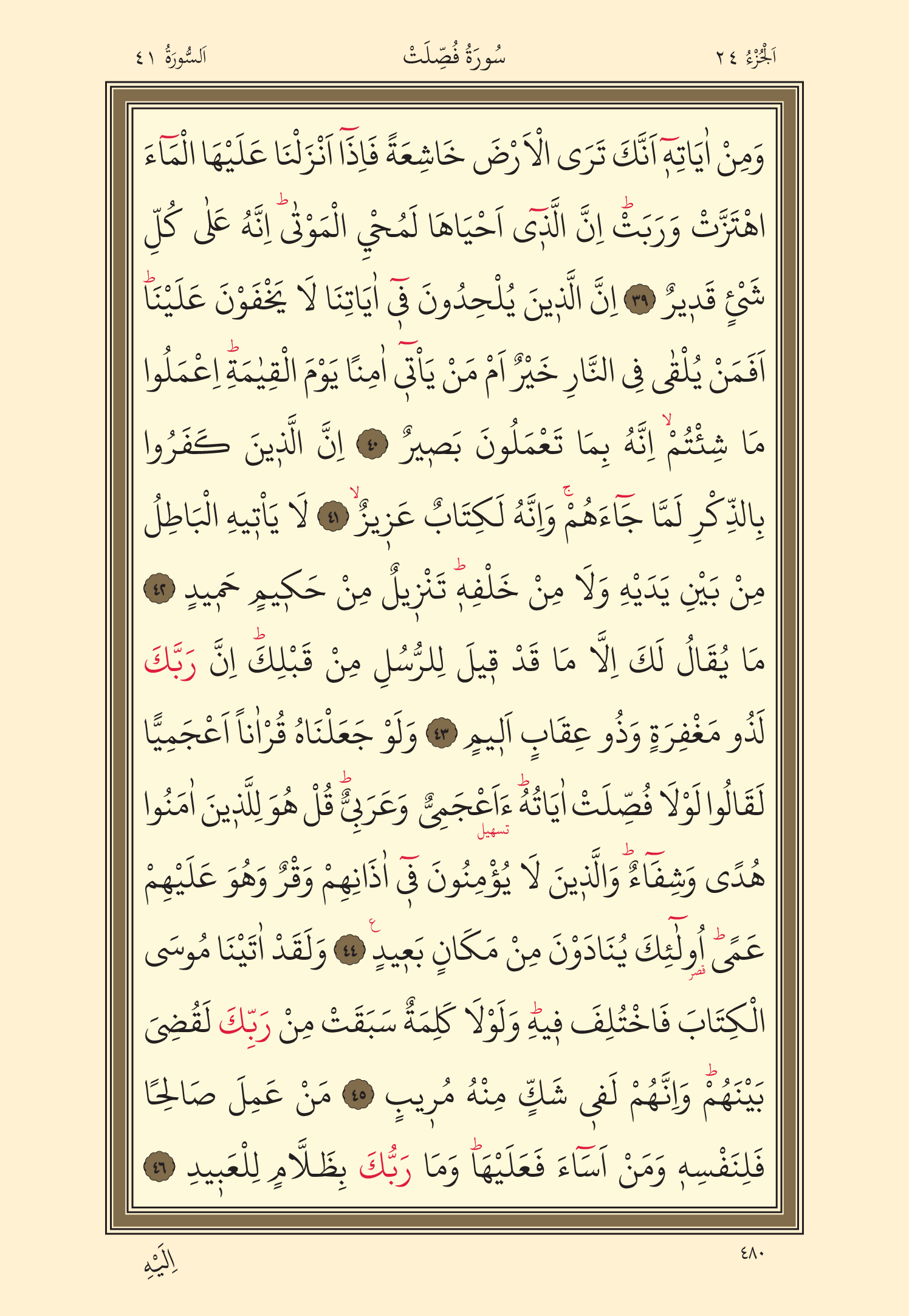 Kuran Oku 24. Cüz 480. Sayfa - KELAMULLAH