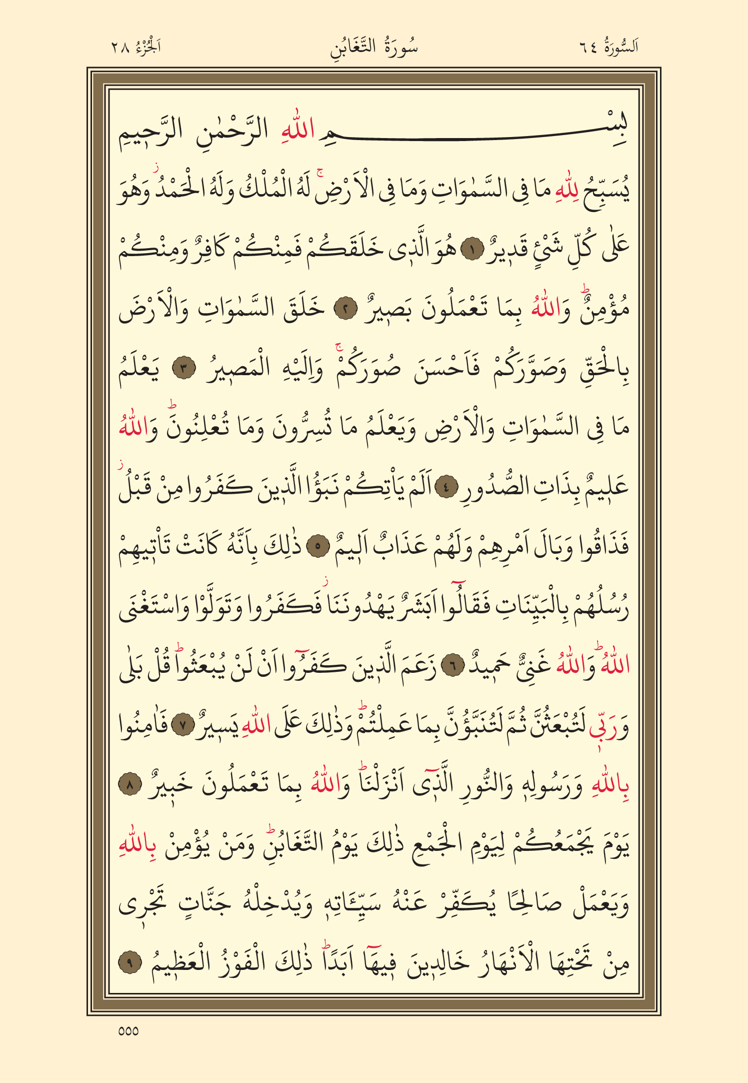 Kuran Oku 28. Cüz 555. Sayfa - KELAMULLAH