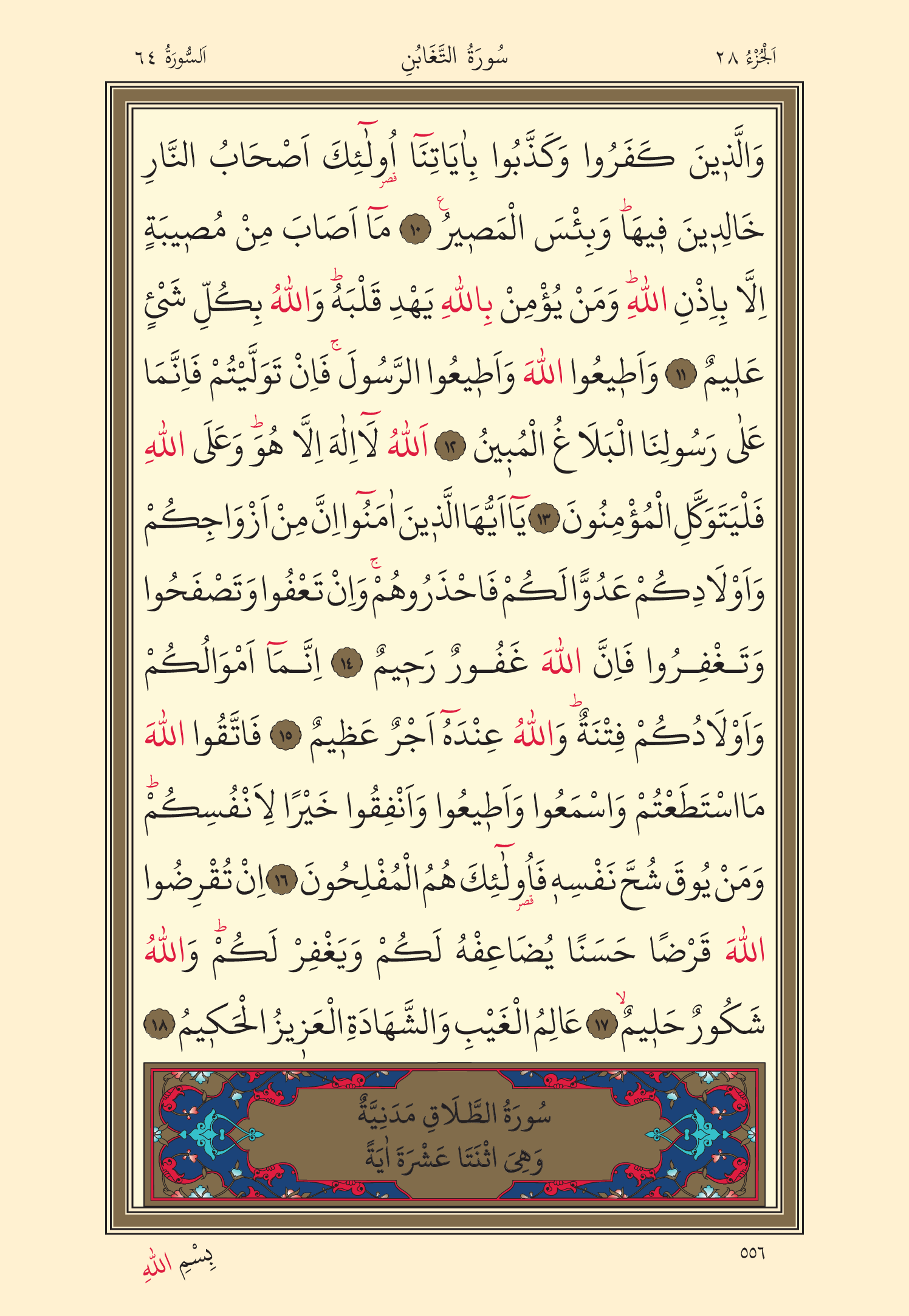 Kuran Oku 28. Cüz 556. Sayfa - KELAMULLAH