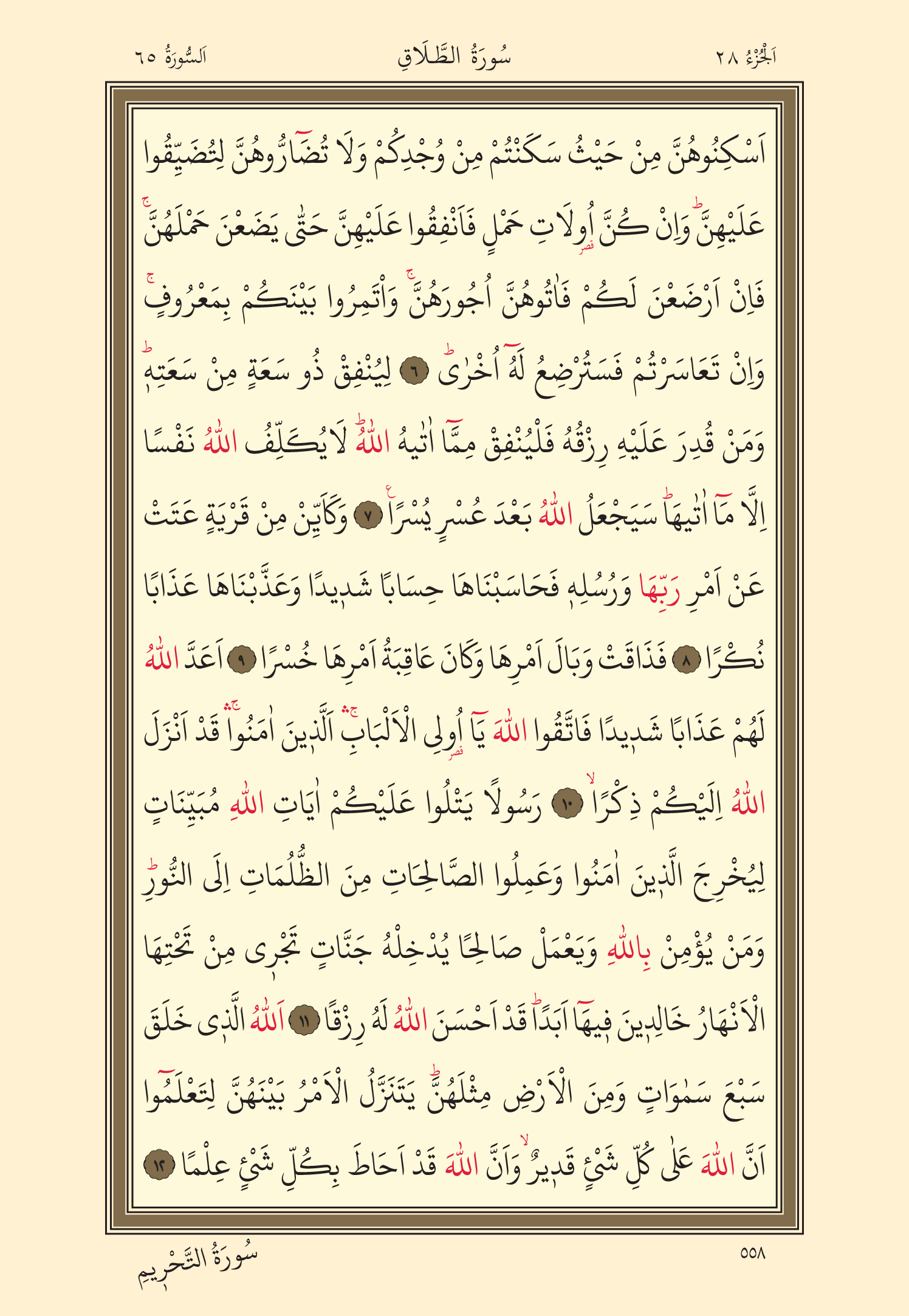 Kuran Oku 28. Cüz 558. Sayfa - KELAMULLAH