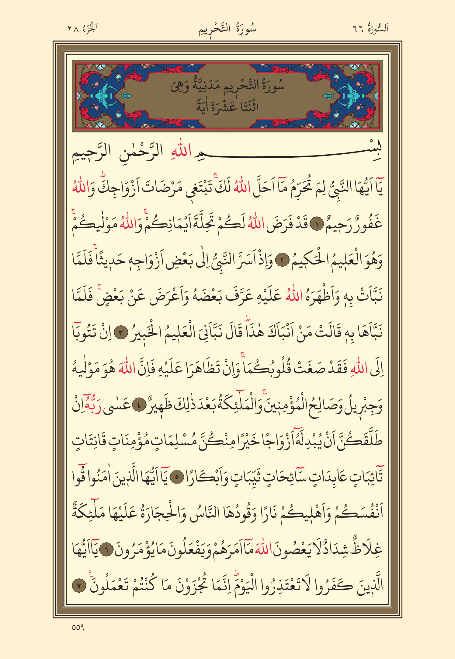 Kuran Oku 28. Cüz 559. Sayfa - KELAMULLAH