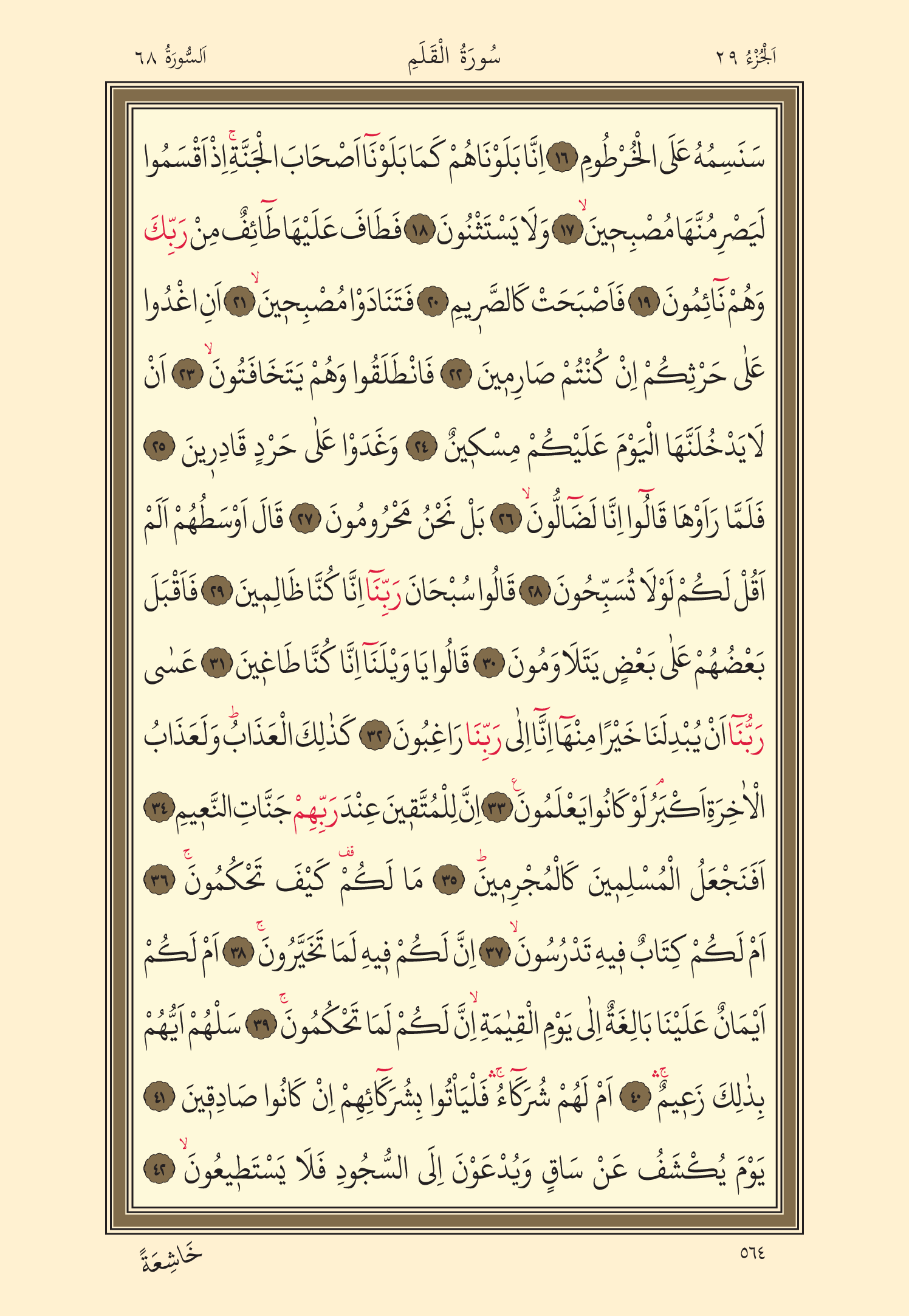 Kuran Oku 29. Cüz 564. Sayfa - KELAMULLAH