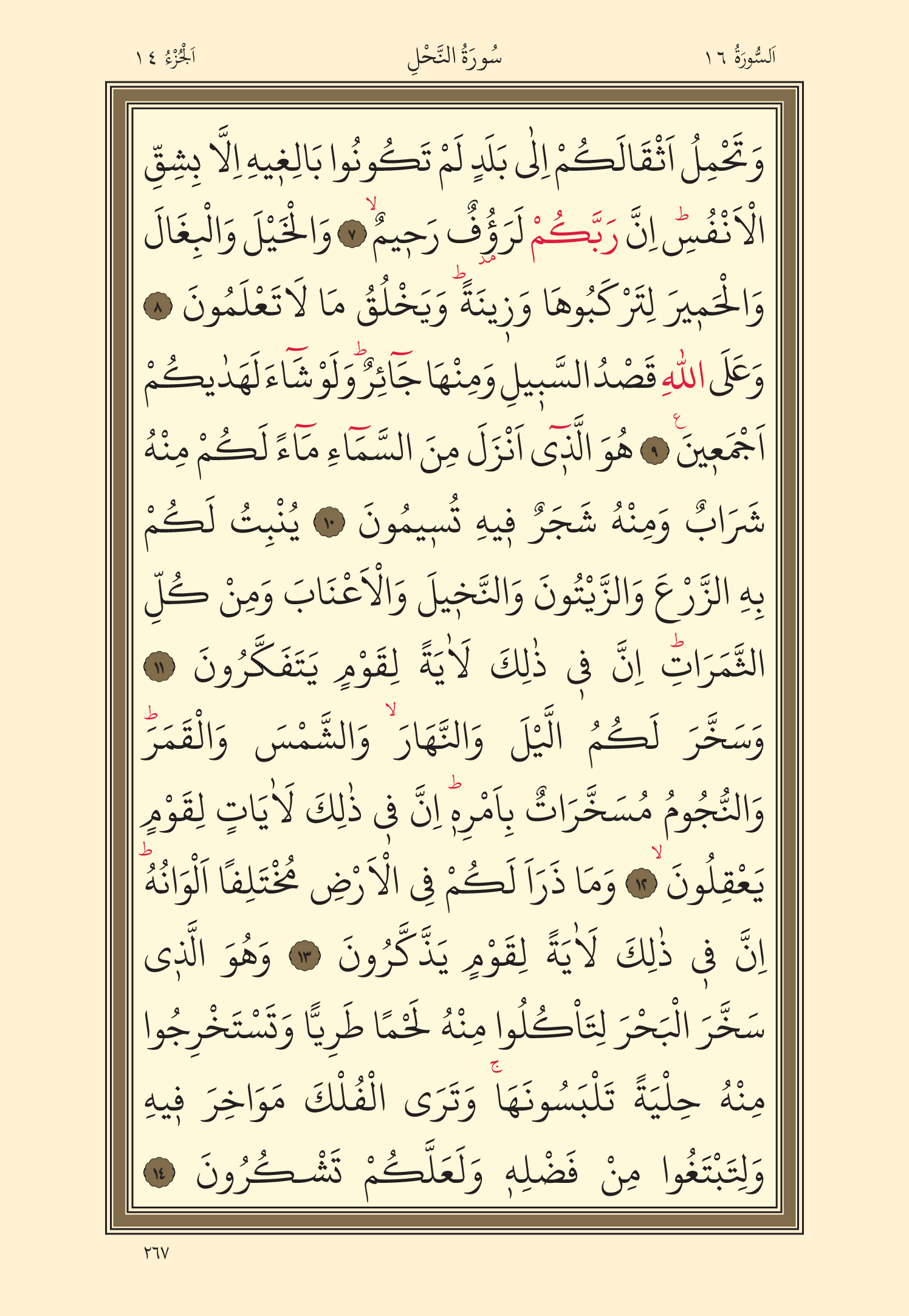 Kuran Oku 14. Cüz 267. Sayfa - KELAMULLAH