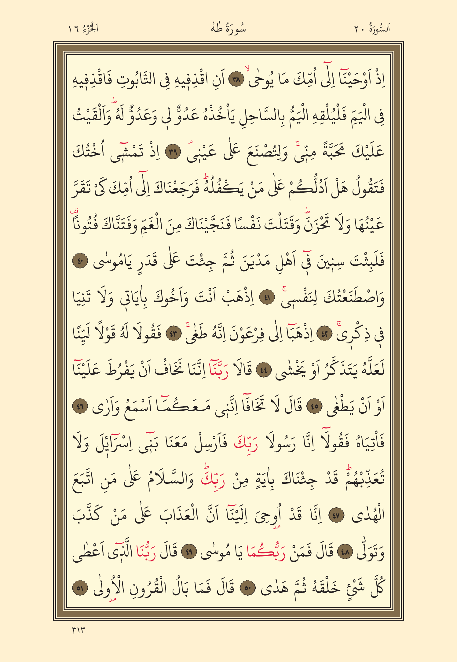 Kuran Oku 16. Cüz 313. Sayfa - KELAMULLAH