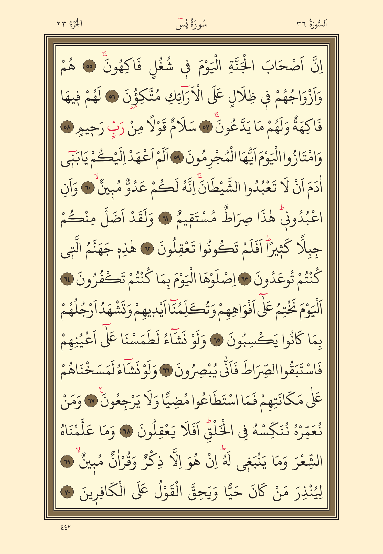 Kuran Oku 23. Cüz 443. Sayfa - KELAMULLAH